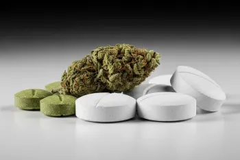 Taxonomie Conduites Addictives & Substances Psychoactives Image